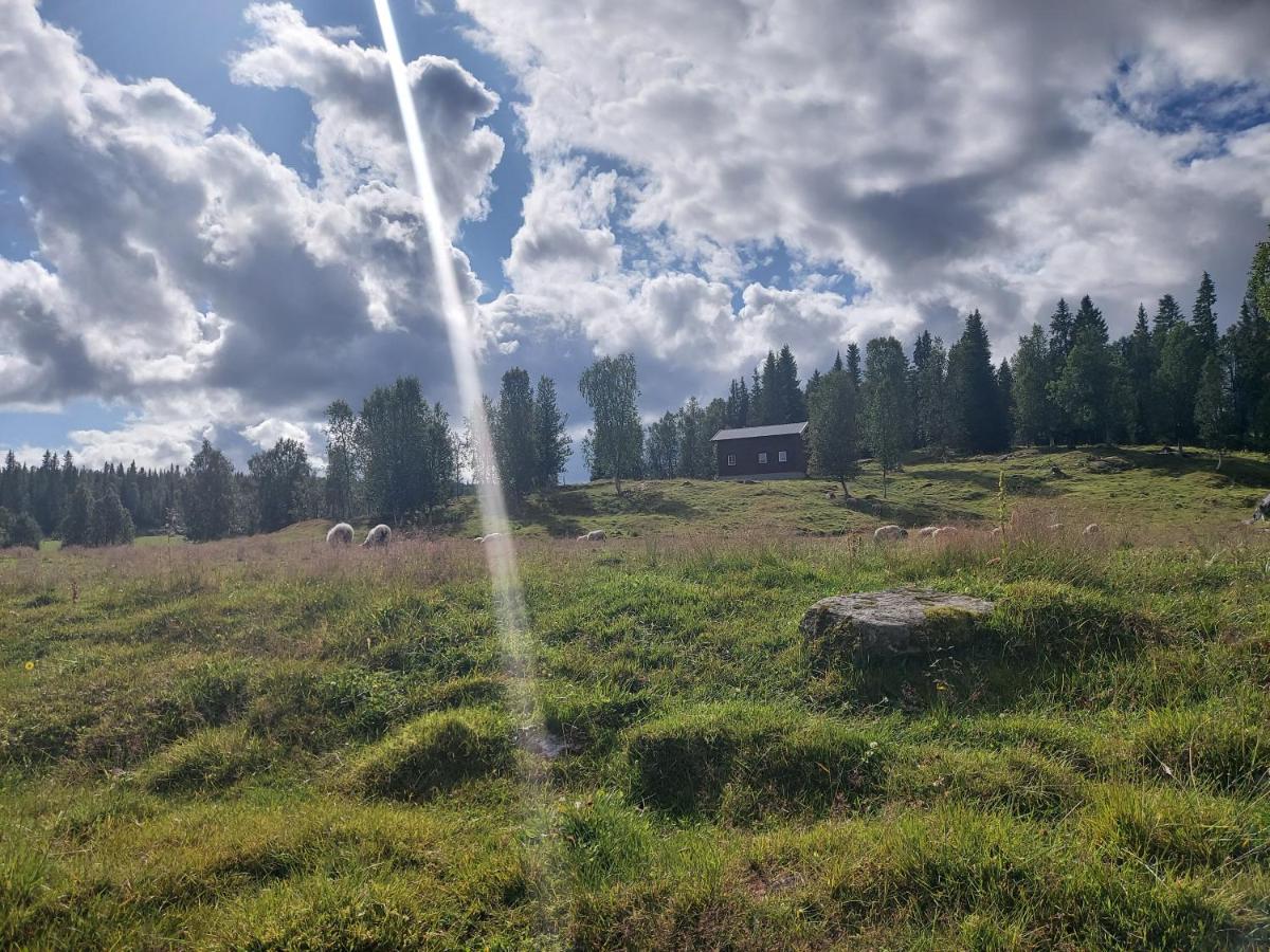 Villmarksgård, hytte ved vannet - Housity