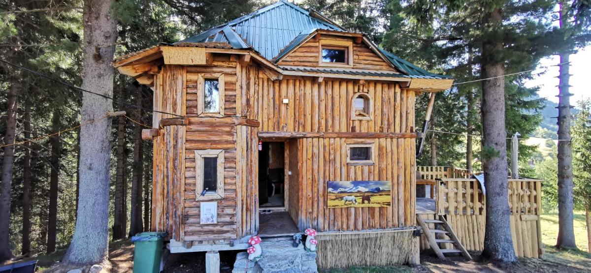 Pinetrees Lodge - Housity