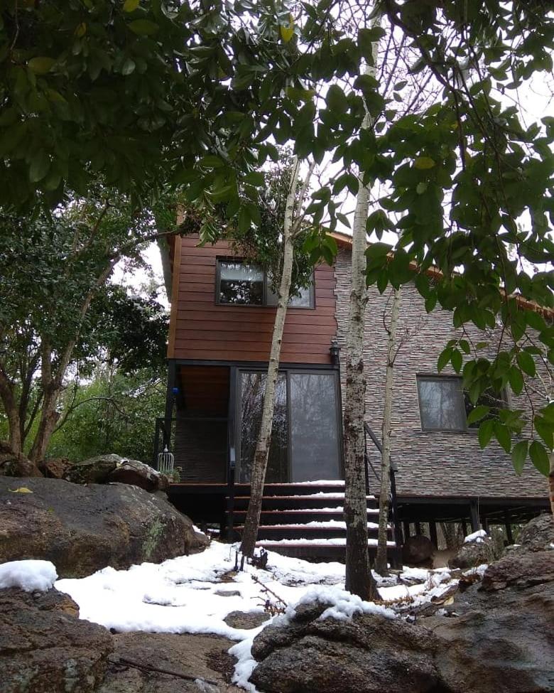 Torito's House 1 - Housity
