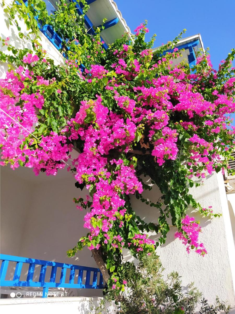 3 min from the beach-White&blue house in Apollon - Housity