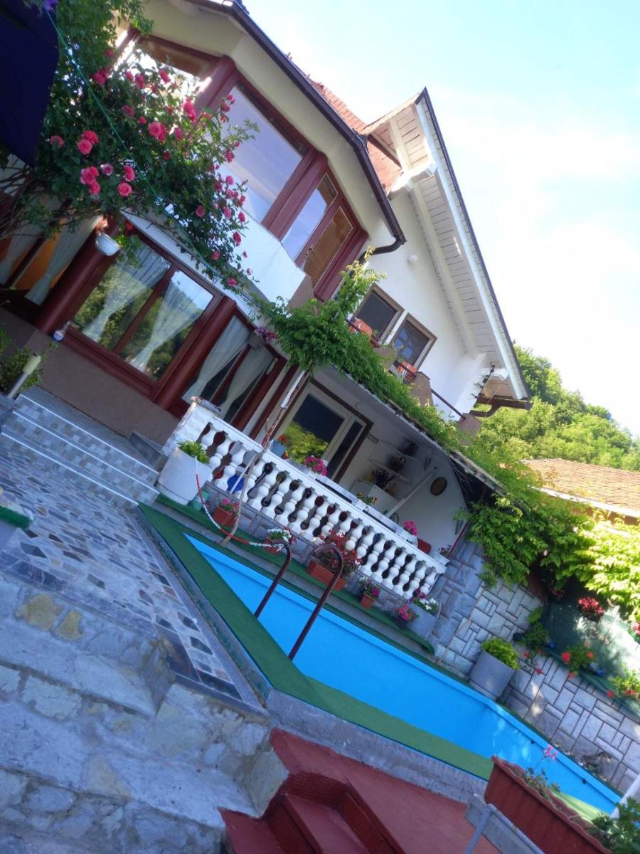 Villa Dino - Housity