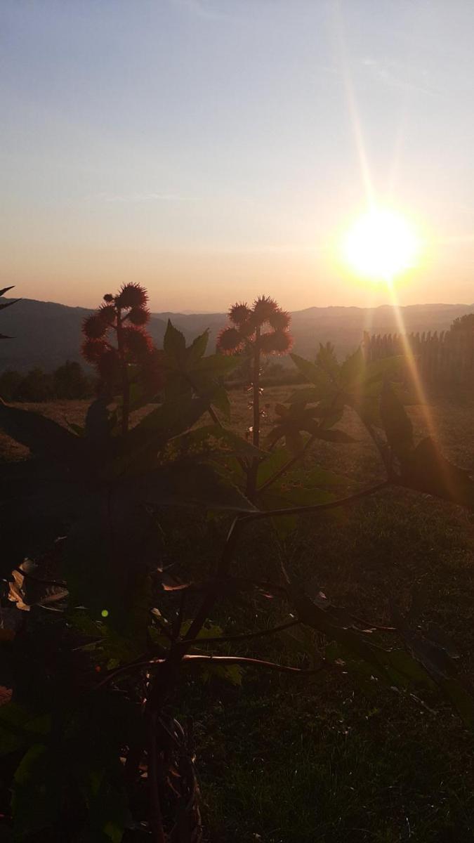 Etno selo na brdu Kosjeric 20 min od Divcibara - Housity