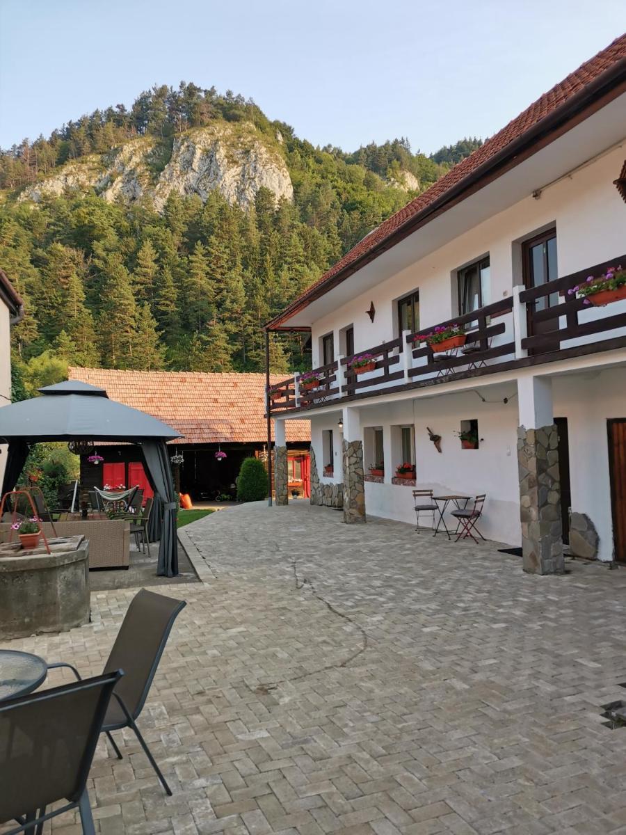 Guest House Piatra Craiului - Housity