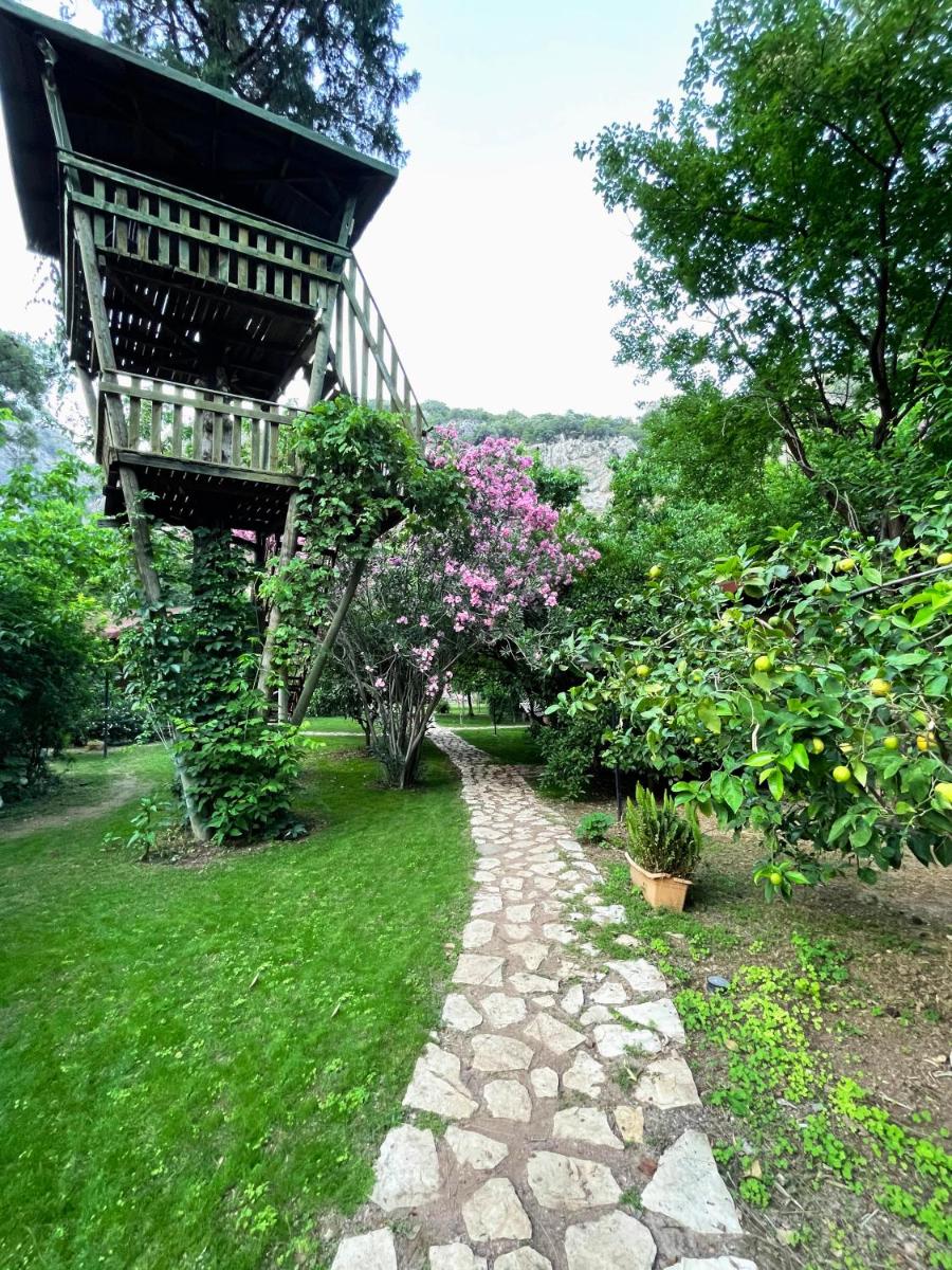 Kibala Hotel - Housity