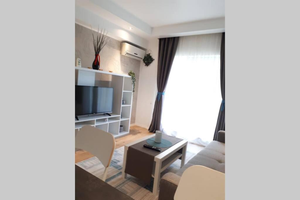 Cozy Apart in Cosmopolis - Housity