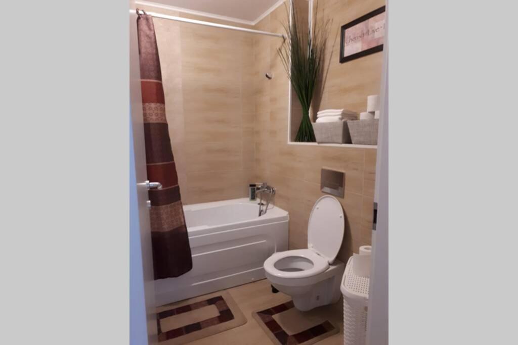 Cozy Apart in Cosmopolis - Housity