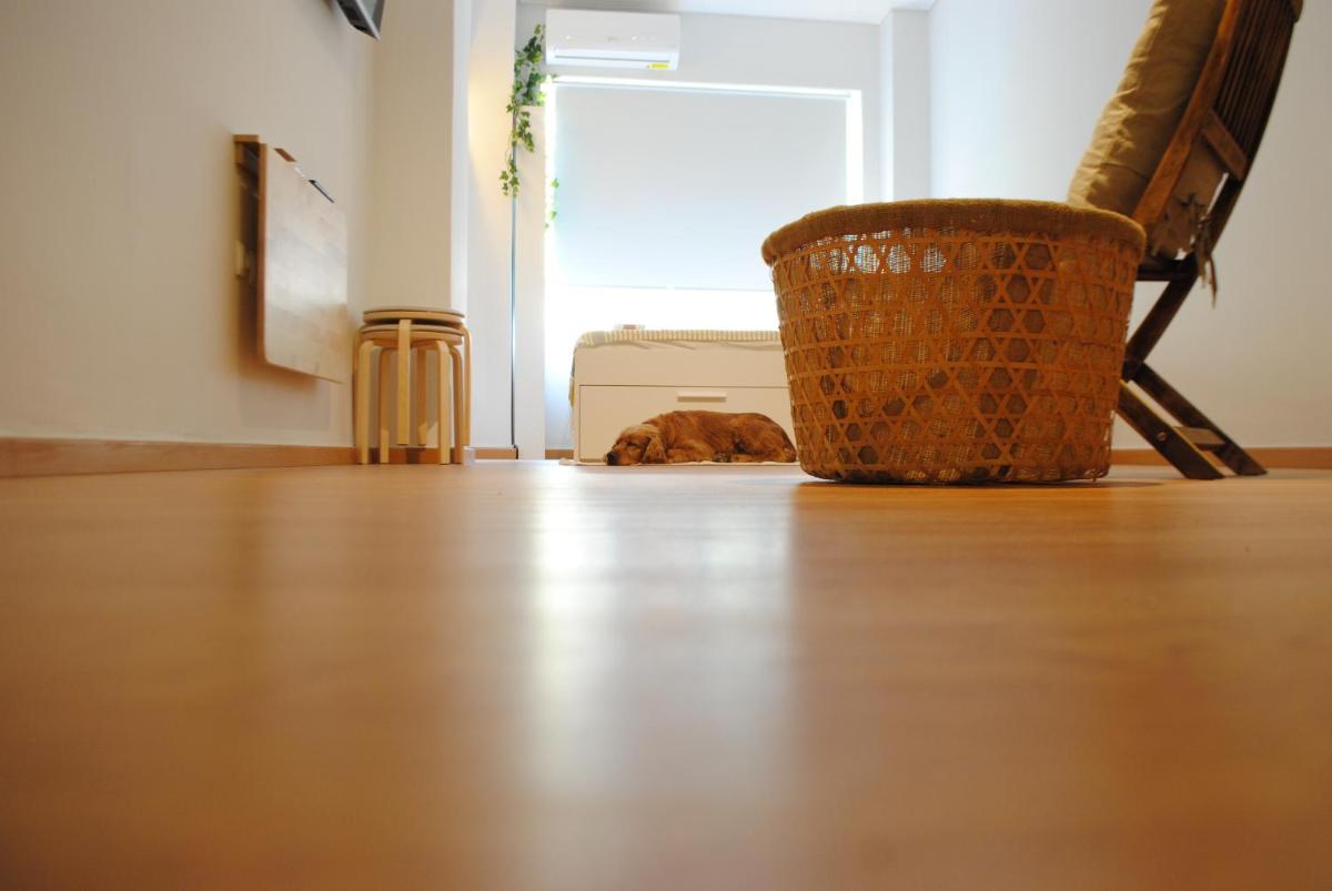 Kinfeels' downtown apartment B1 - Housity