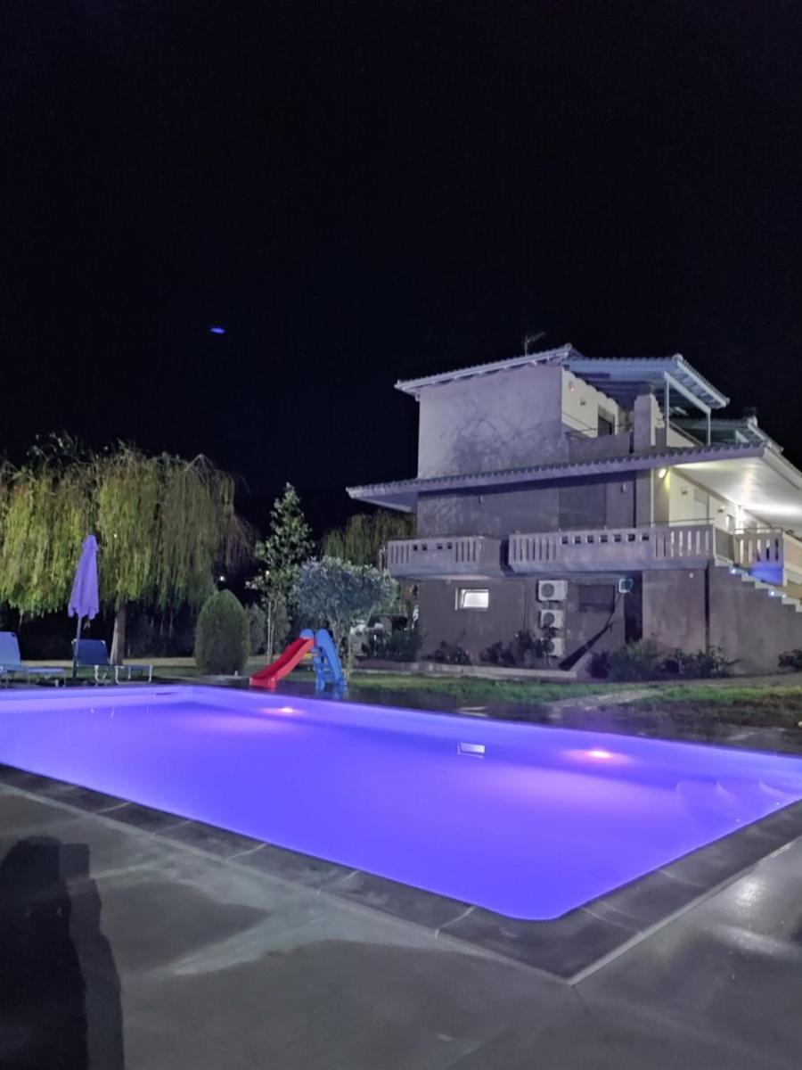 VILLA IN NATURE - Housity