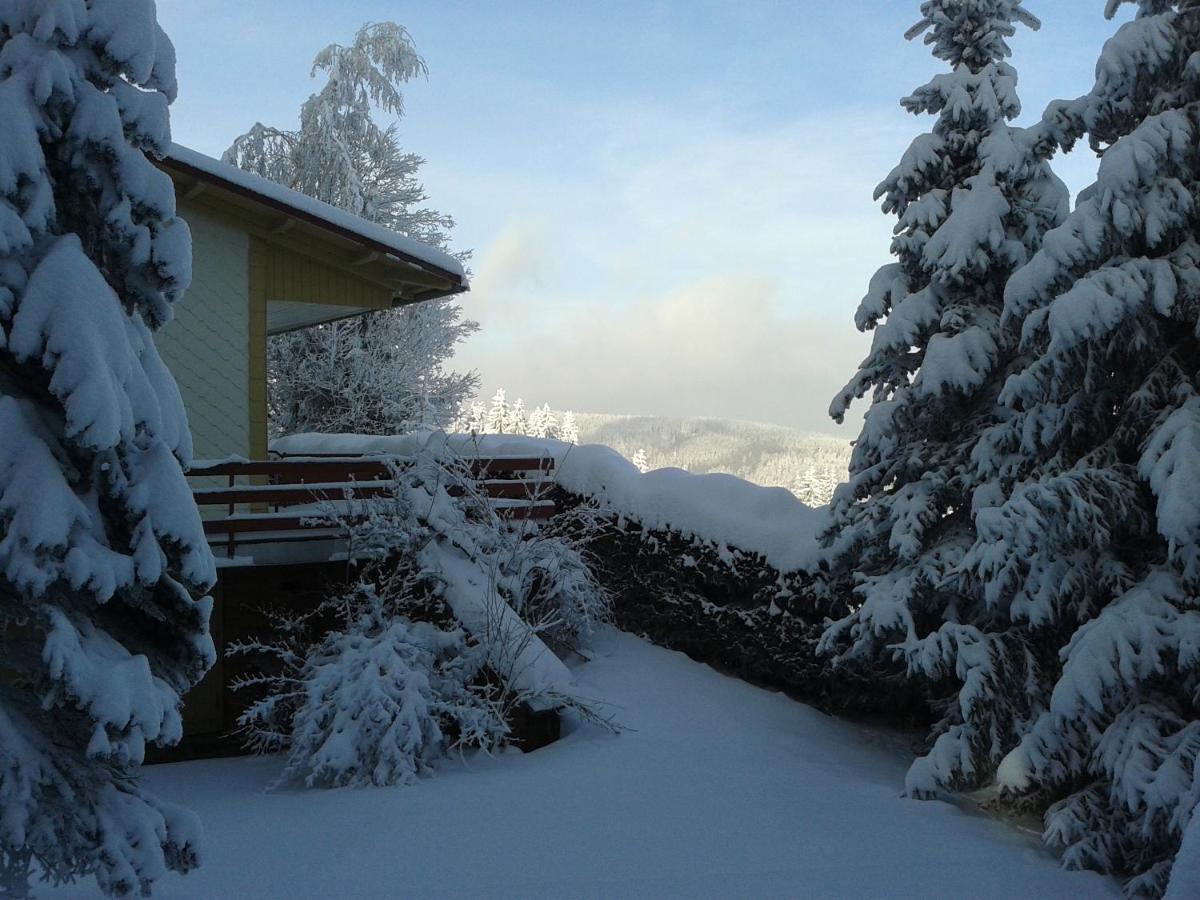 Haus Brockenblick - Housity