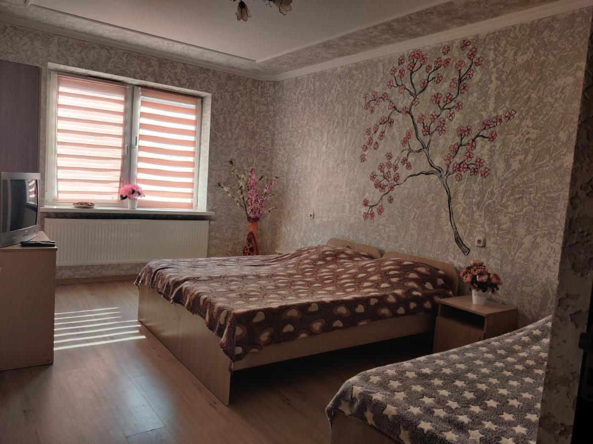 Zaslonova - Housity