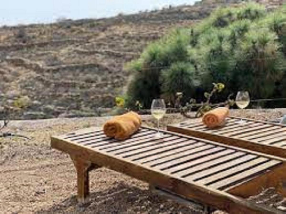 Casa Rural Los Olivos Arico relax hiking - Housity