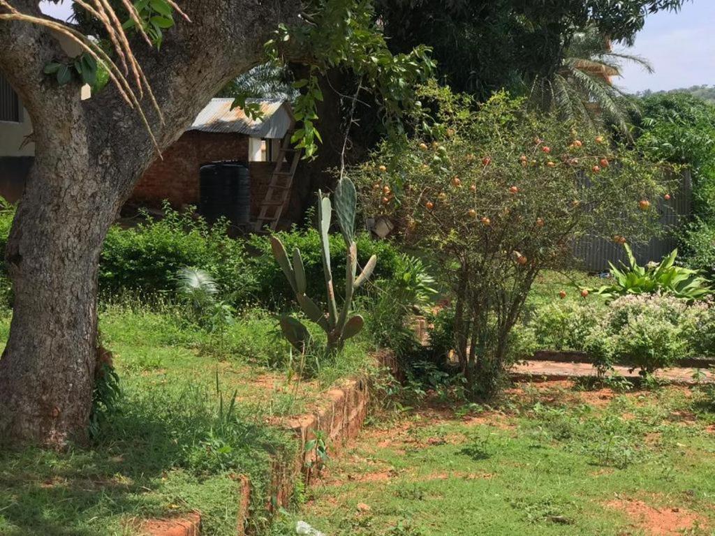 Kwa Sifa Norad - Housity