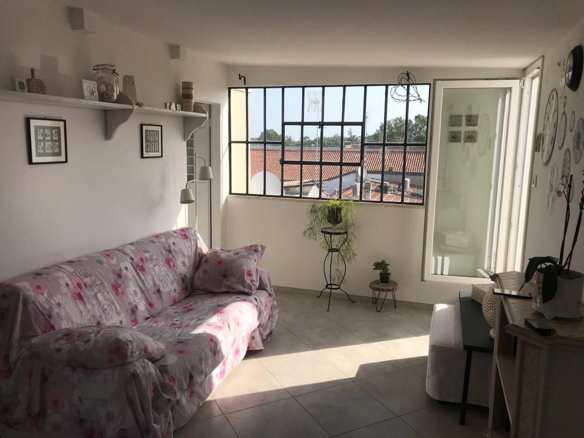 B&B RoofTop51 - Housity