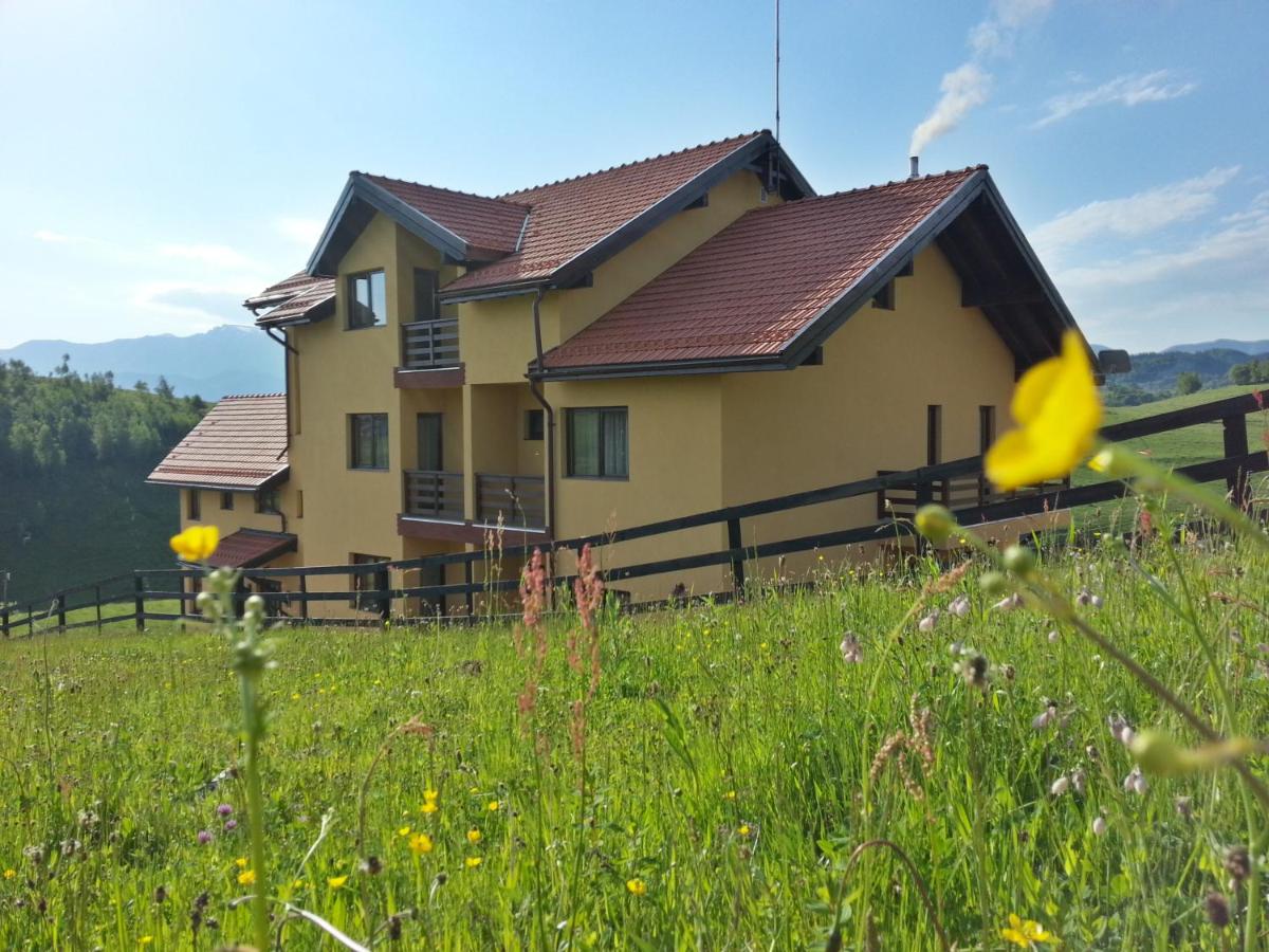 Pensiunea Crai Nou - Housity