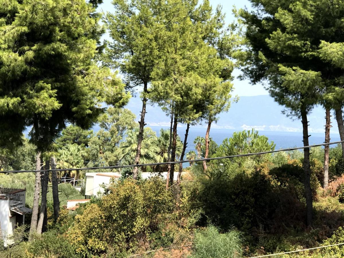 Studio Kalypso - Housity