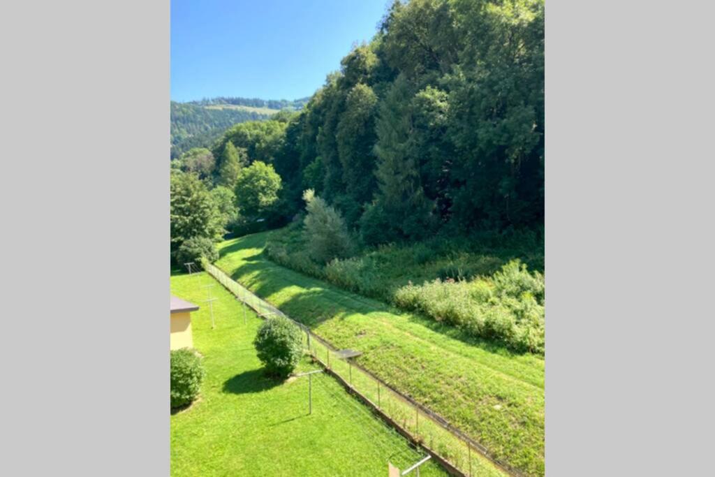 Cozy Condo close to town, castle, lake and hiking - Housity