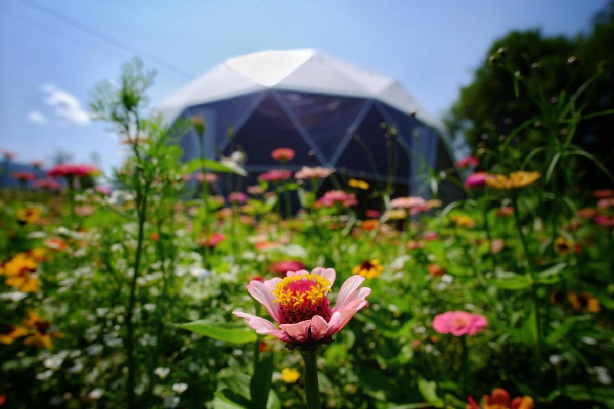 That's life Glamping - Dolomite Experience - Housity