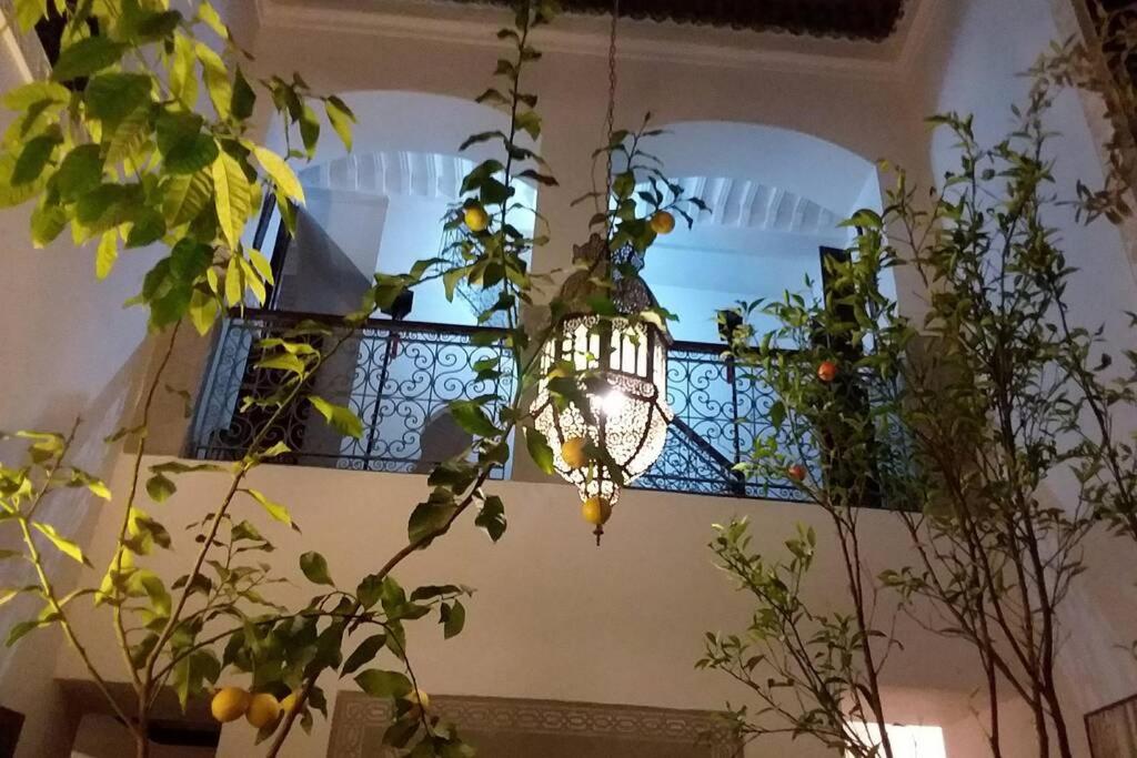 Emplacement N°1 ! RIAD ICA (EN EXCLUSIVITE) - Housity