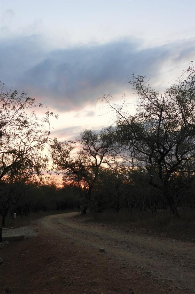 Suitetrails - Locust Retreat Immaculate 2bedroom cottage
