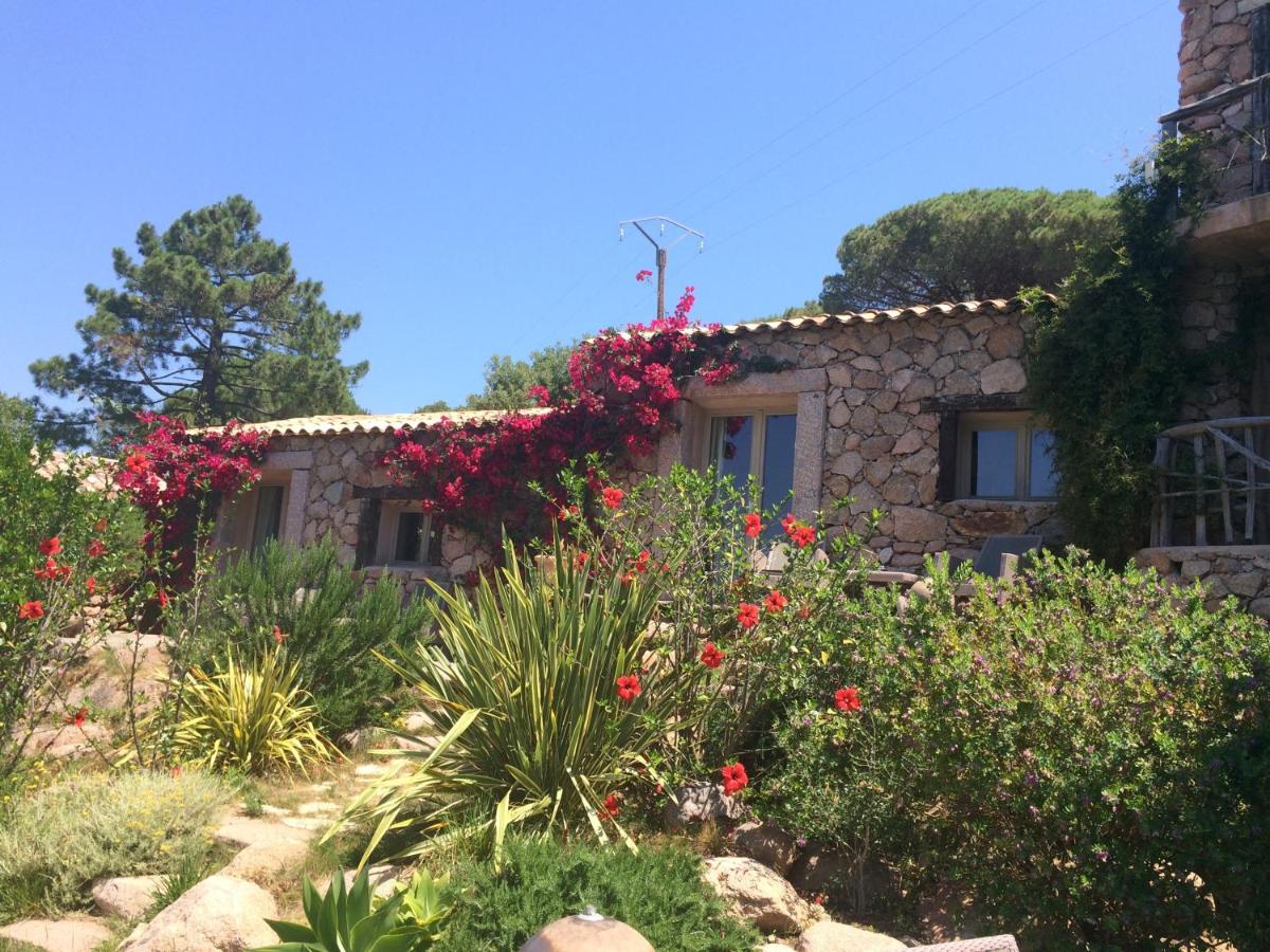 Jardin de l'établissement Hôtel Ambassador Palombaggia