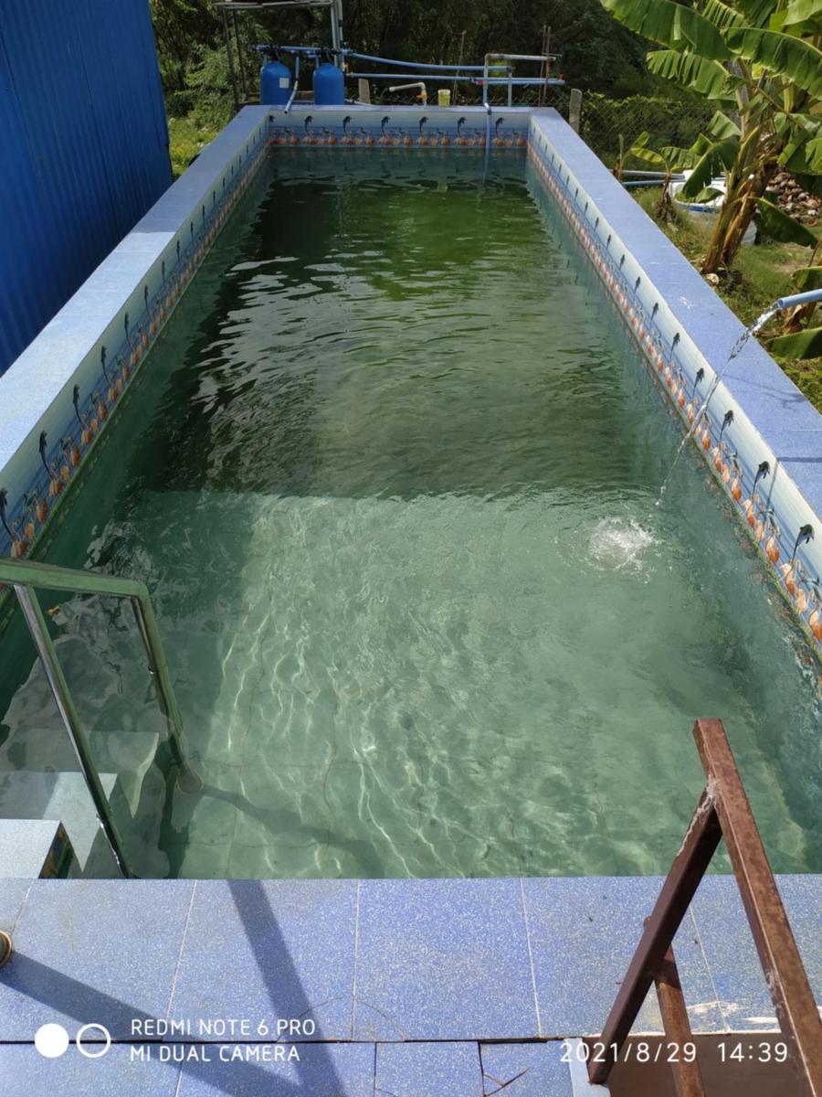 Krish Garden - Housity