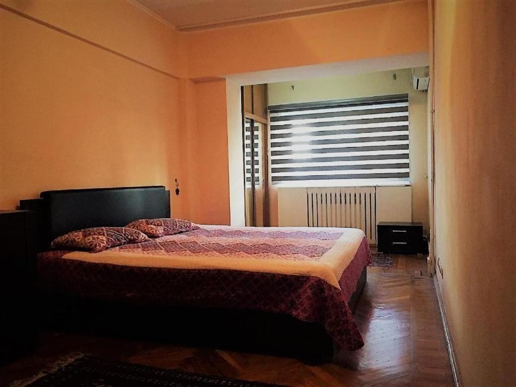 Spacious and Cozy - Housity