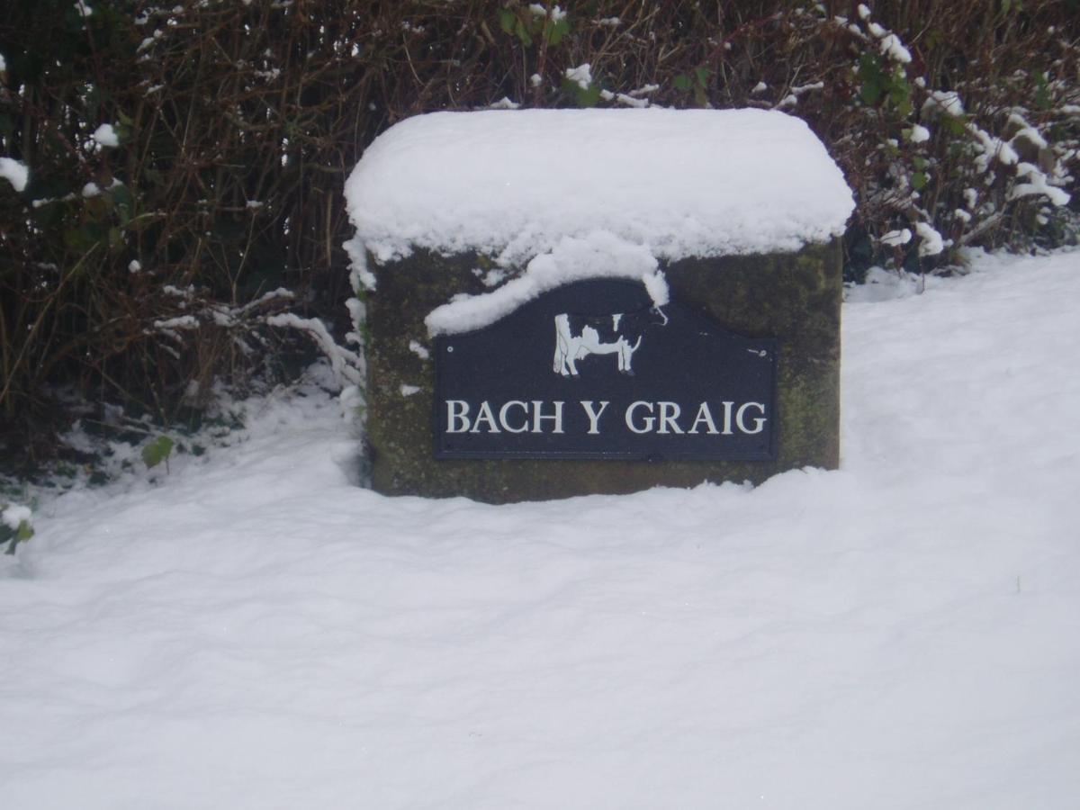 Bach y Graig - Housity