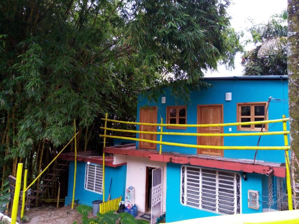 Oasis bambú - Housity