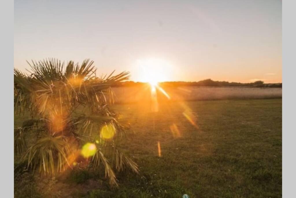 Studio au pied des dunes, 200 m de la plage - Housity