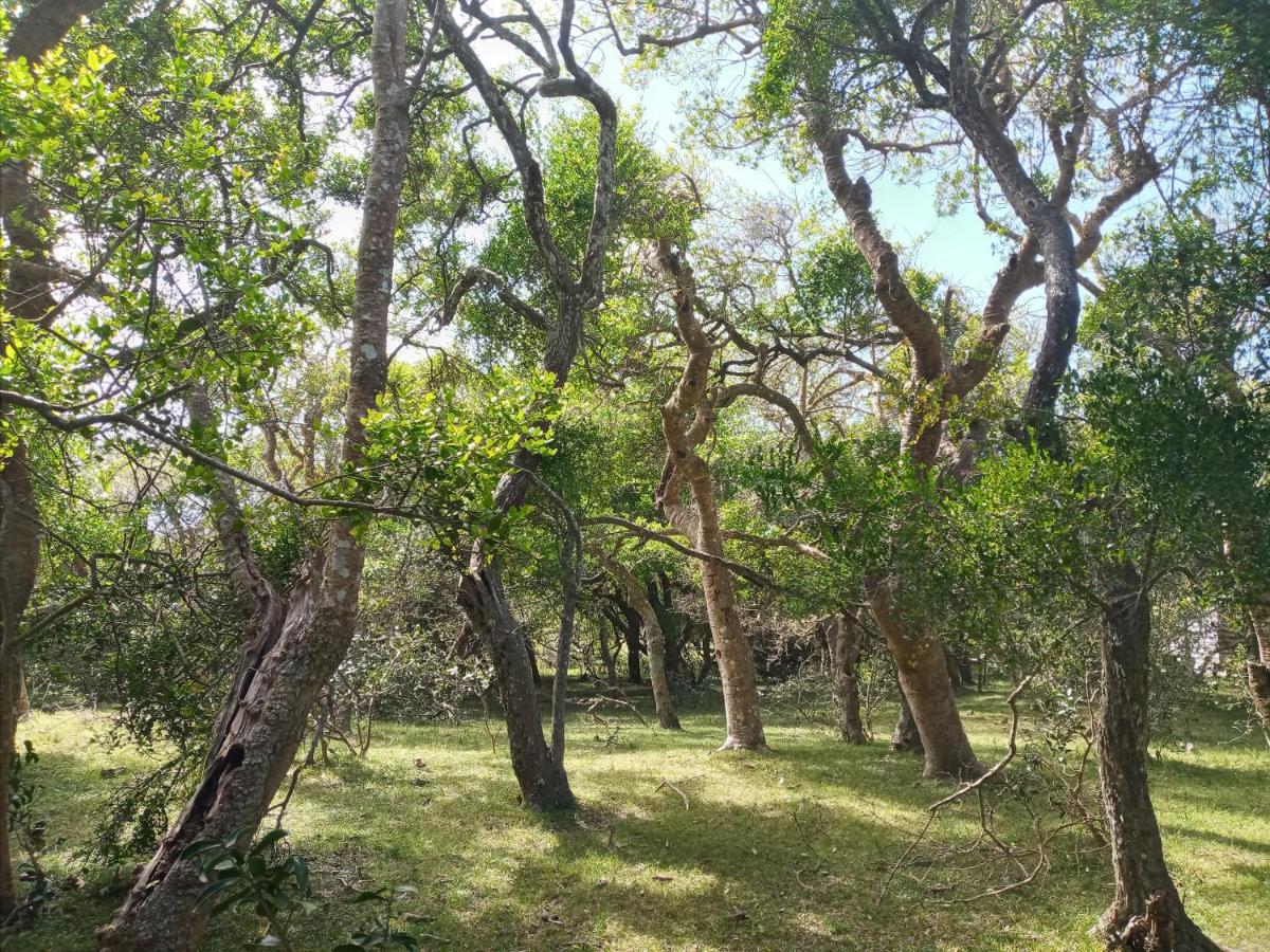 Casa de campo cerca del Cabo - Housity