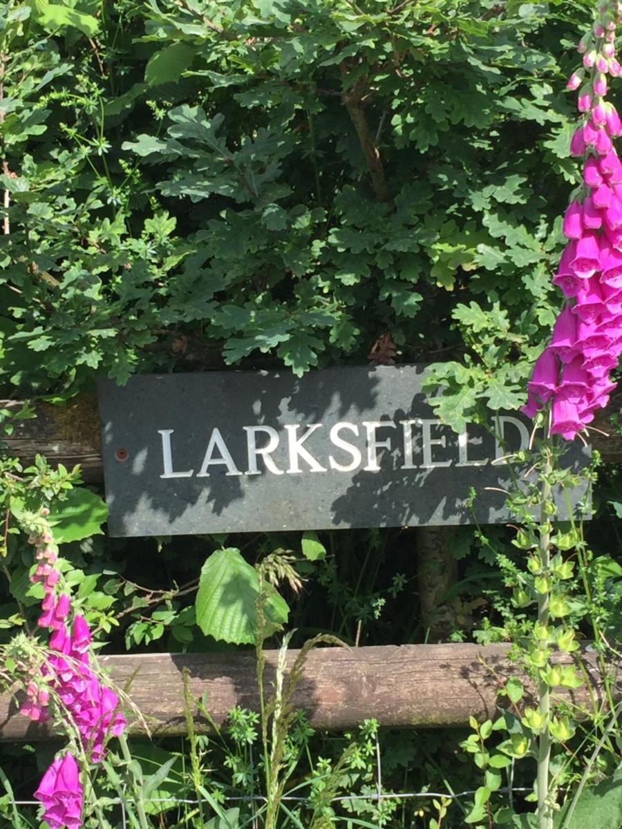 Larksfield Loft - Housity