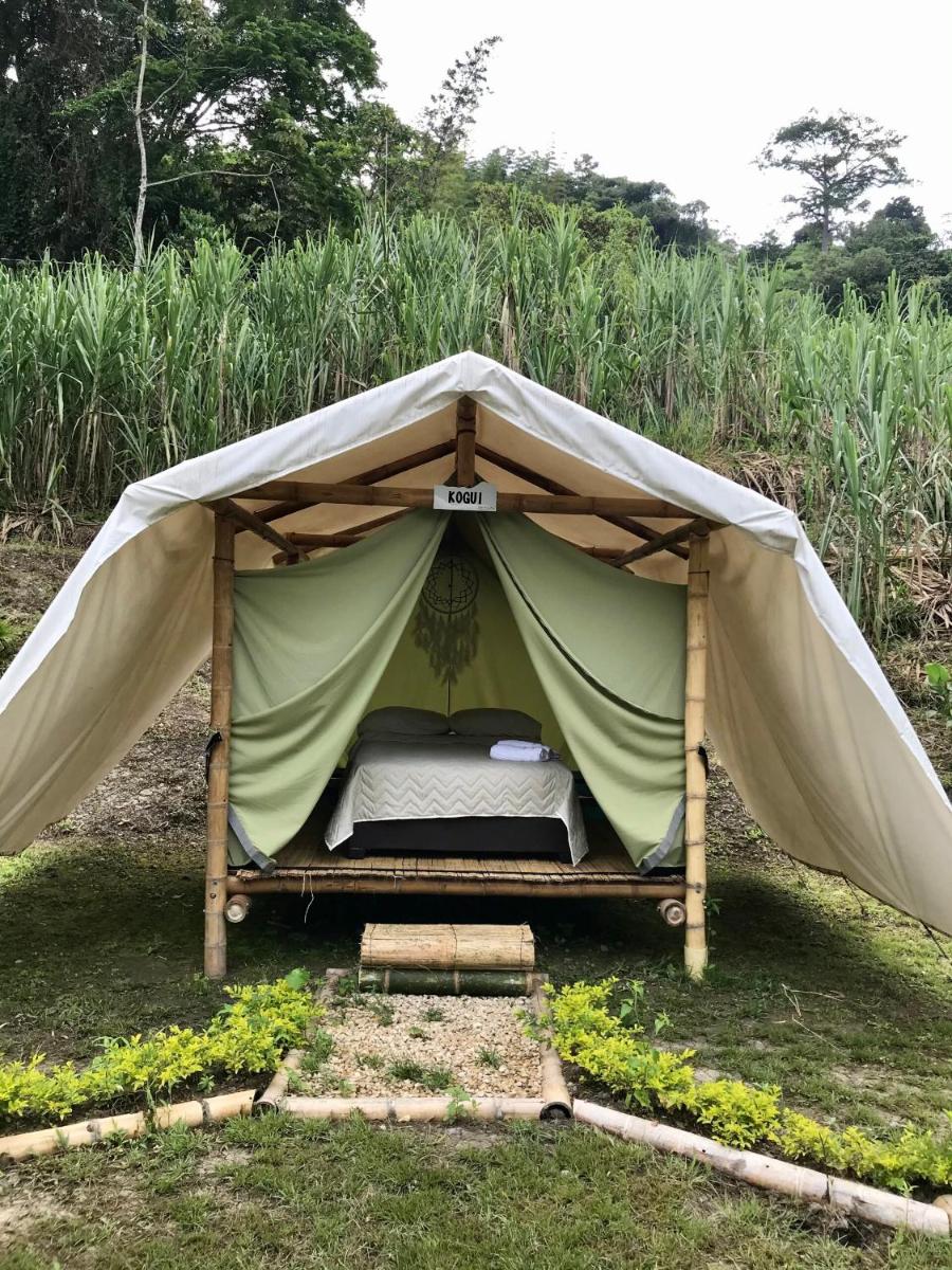 Abya Yala Hostel - Housity