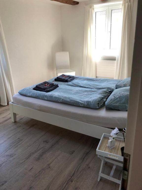 Cozy apartment close to Zurich Airport and City - Housity