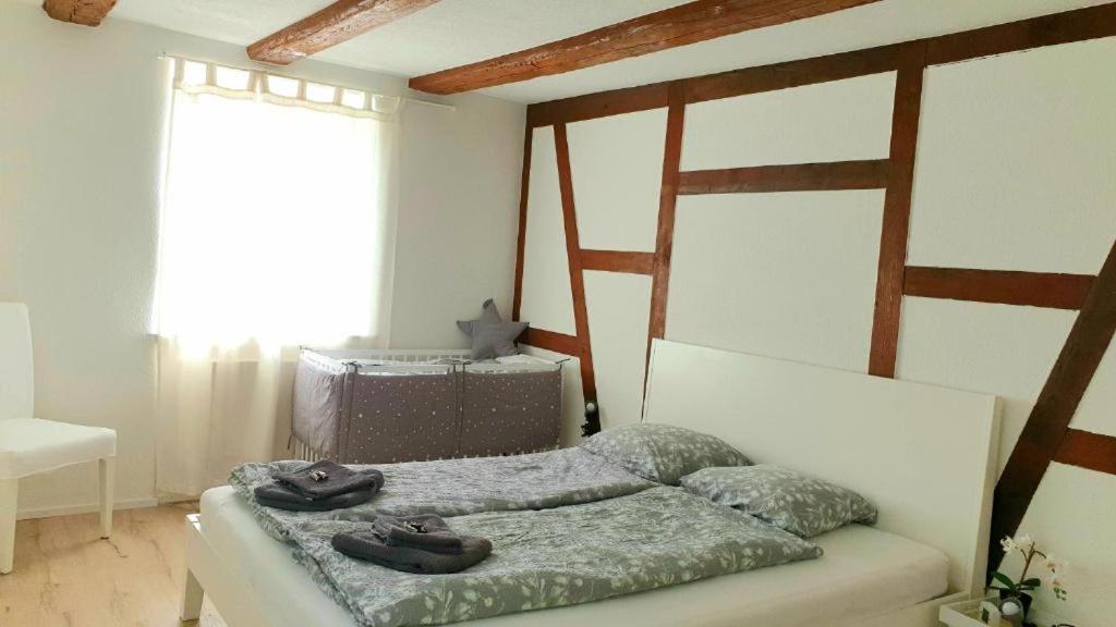 Cozy apartment close to Zurich Airport and City - Housity
