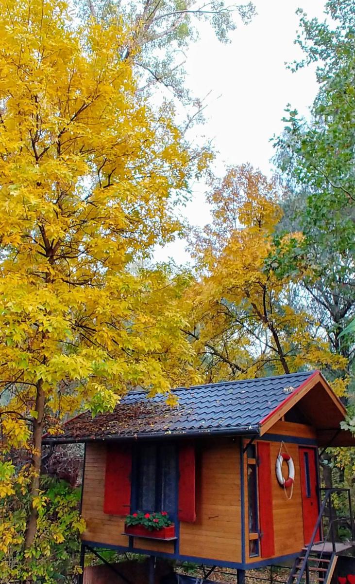 Lovely vacation house at river Tisza , Hangulatos nyaraló a szegedi Tisza - Maros toroknál - Housity