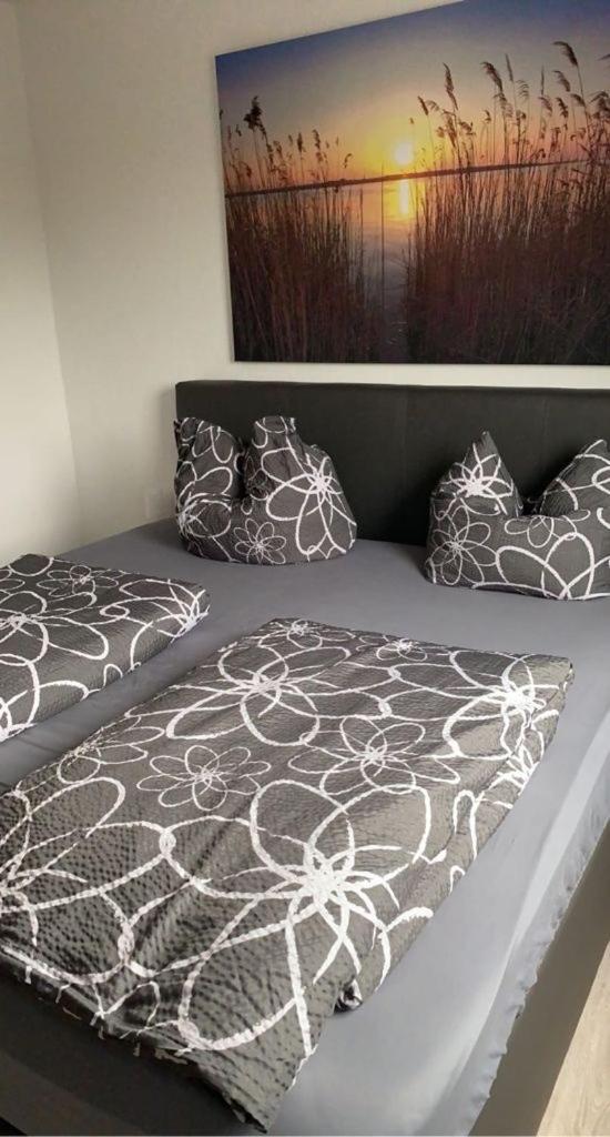 Modernes 2 Zimmer Appartment - Hizvo