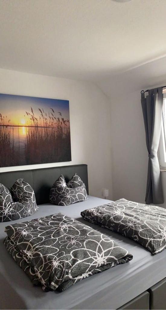 Modernes 2 Zimmer Appartment - Hizvo