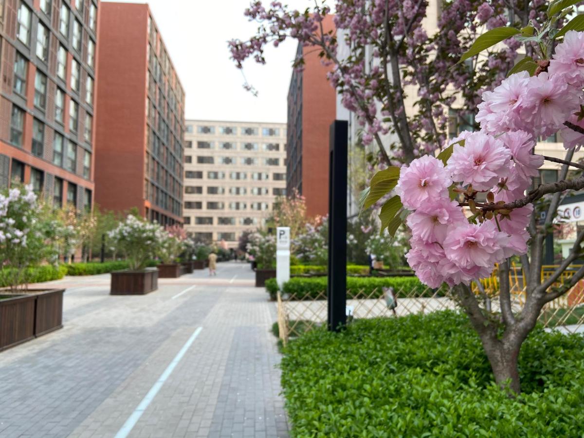 City Dreamer Apartment - Beijing Capital Airport - Housity