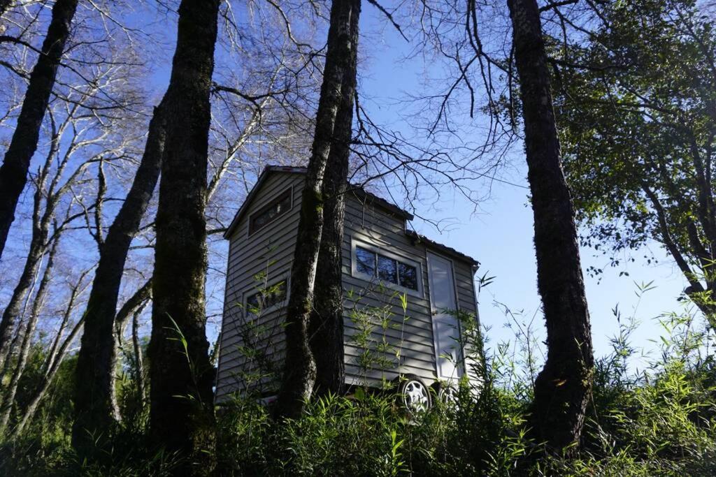 Suitetrails - Tiny House en el bosque, una burbuja de 2 x 4 mts