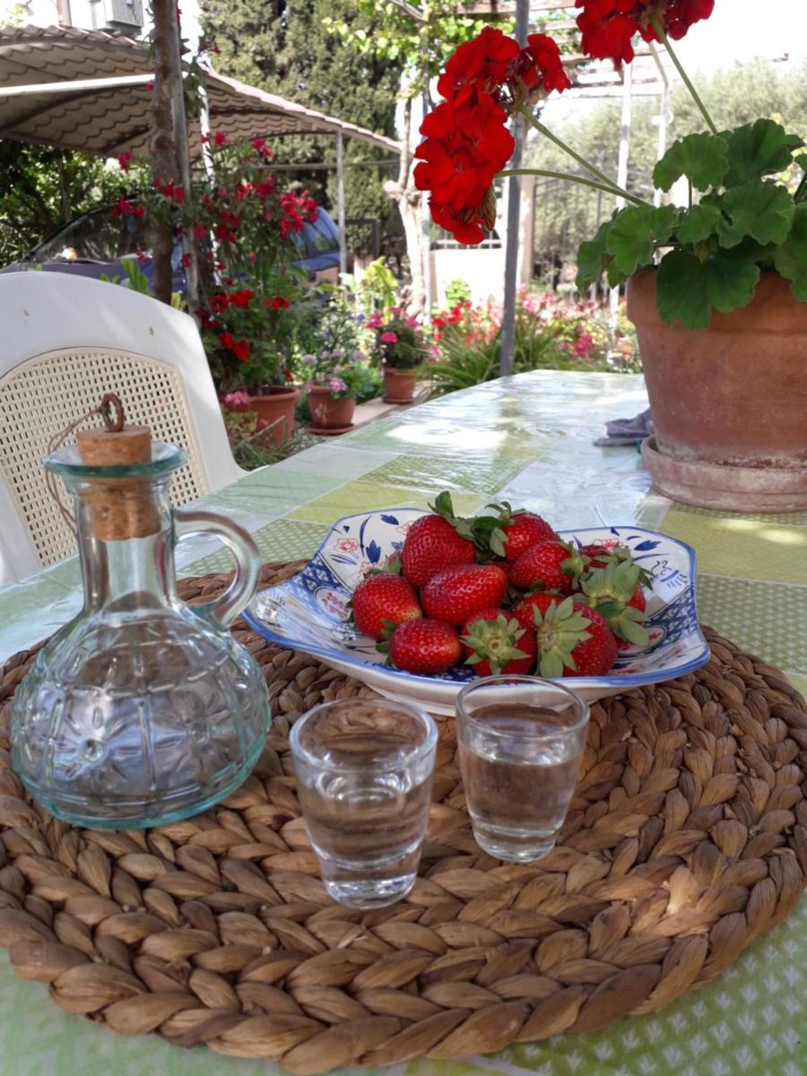 Phaistos Country House - Housity