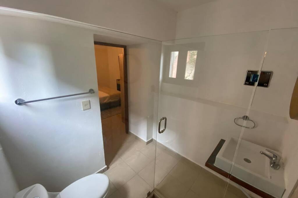 CasaMelchers/AlbercaPrivada/CentroHistórico - Housity