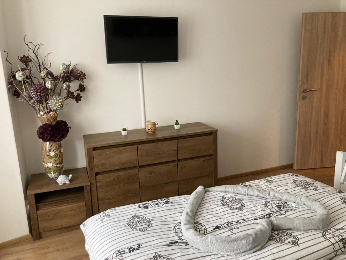Bytový apartmán - Vejprty - Housity