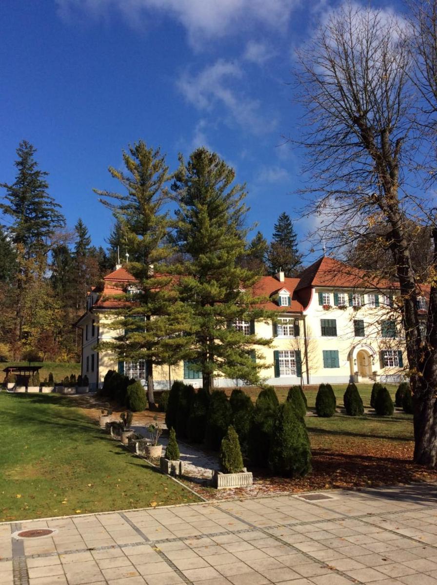 Vila Rogashka One Bedroom Apartment - Housity