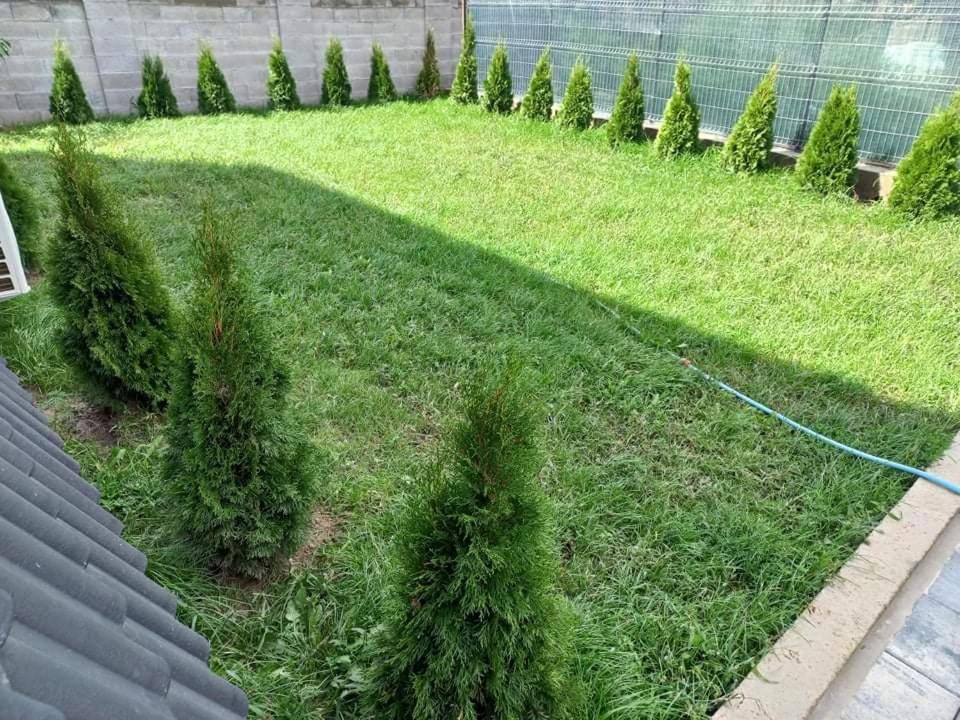 Căsuță tip A Căsuța din Zăvoi - Housity