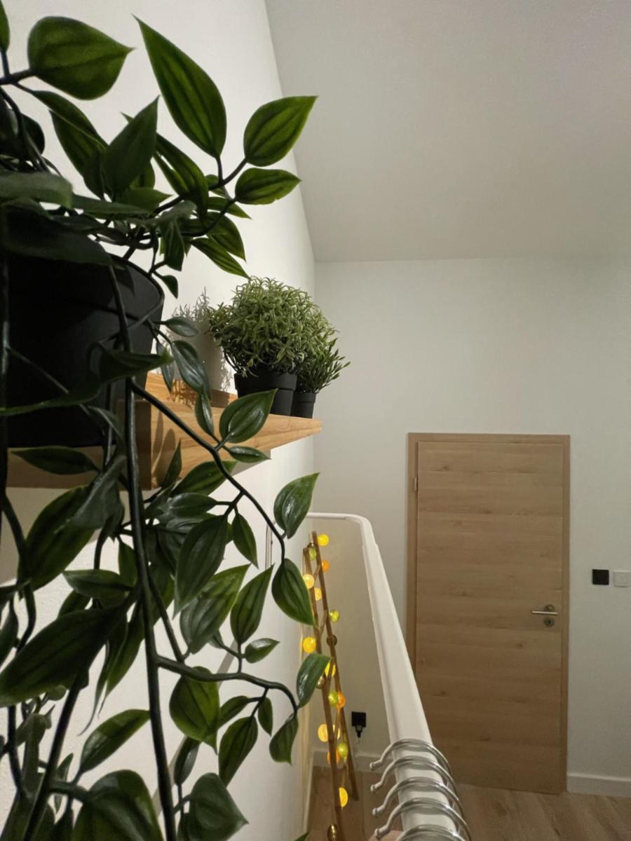 Patenier Hidden Garden 1bdr with garden - Housity