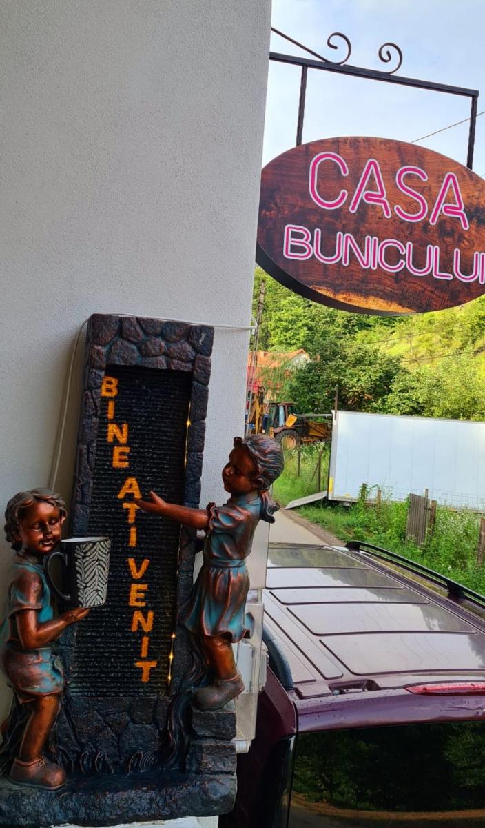 CASA BUNICULUI - Housity