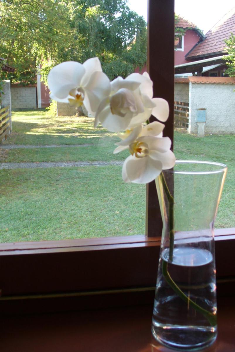 Čebelica, apartma 101, Terme Čatež - Housity