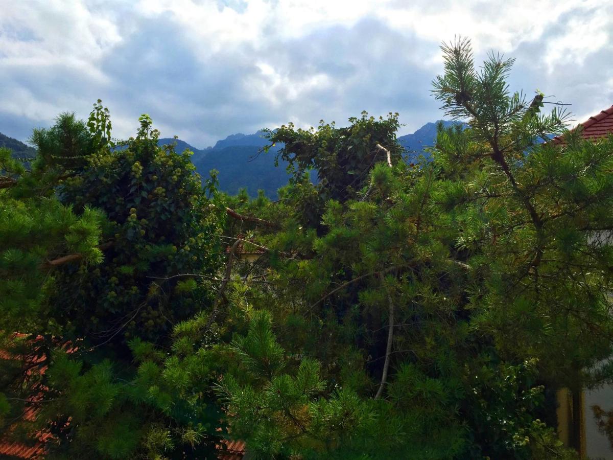 ciao-aschau FeWo Fey - Housity