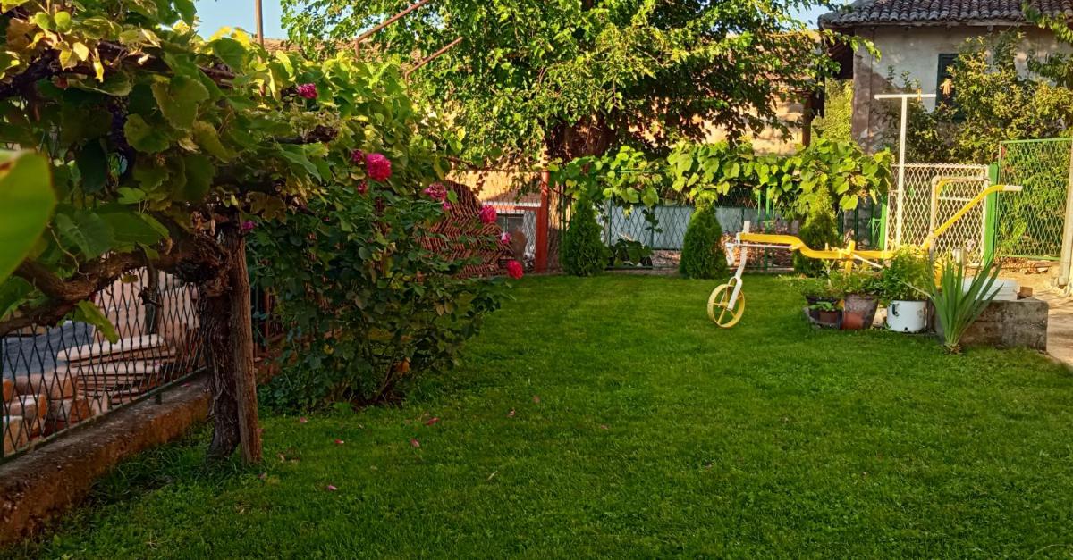 Apartman STOJANOVIĆ - Housity