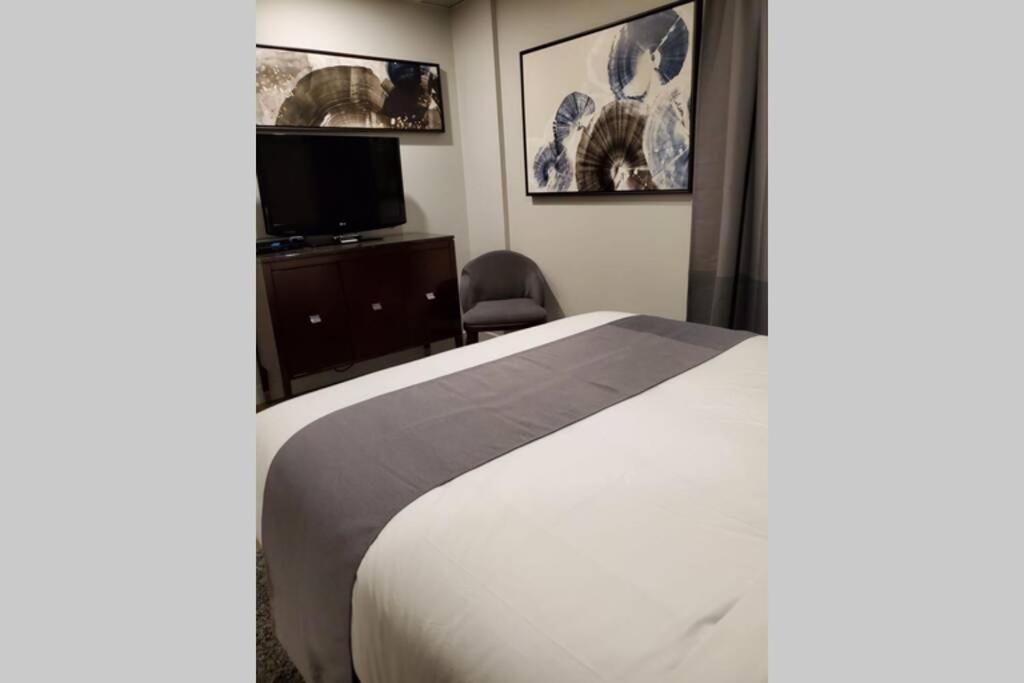 Cozy Sweet Studio #4, Only 10 min to D.T. Ottawa - Housity